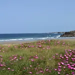 A Marina Adelina *